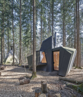 GÜNTER RICHARD WETT