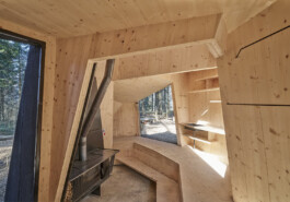 GÜNTER RICHARD WETT