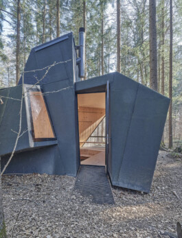 GÜNTER RICHARD WETT