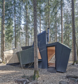 GÜNTER RICHARD WETT