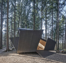 GÜNTER RICHARD WETT