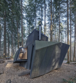 GÜNTER RICHARD WETT