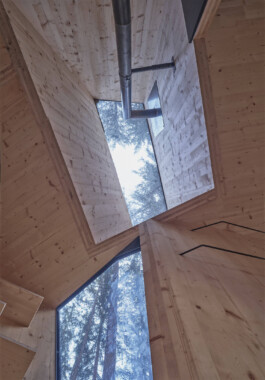 GÜNTER RICHARD WETT