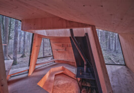 GÜNTER RICHARD WETT