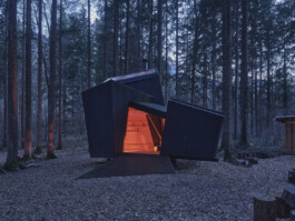 GÜNTER RICHARD WETT