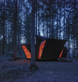 GÜNTER RICHARD WETT