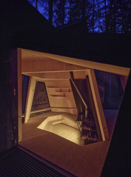 GÜNTER RICHARD WETT