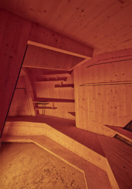 GÜNTER RICHARD WETT