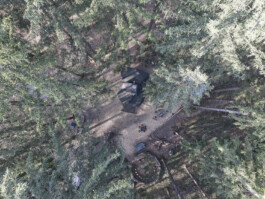 GÜNTER RICHARD WETT