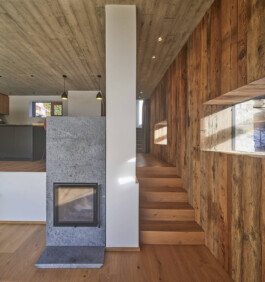 GÜNTER RICHARD WETT