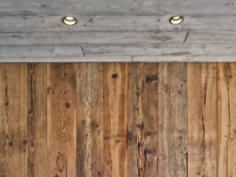 GÜNTER RICHARD WETT