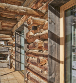 GÜNTER RICHARD WETT