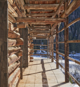 GÜNTER RICHARD WETT