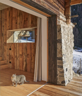 GÜNTER RICHARD WETT