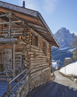 GÜNTER RICHARD WETT