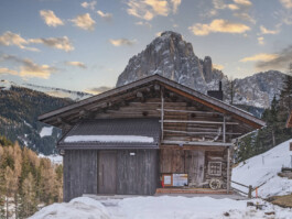 GÜNTER RICHARD WETT