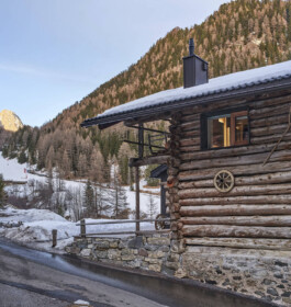 GÜNTER RICHARD WETT