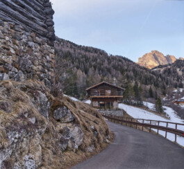 GÜNTER RICHARD WETT