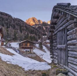 GÜNTER RICHARD WETT